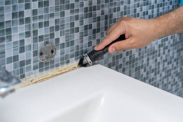 Best Affordable Mold Removal  in Iowa Colony, TX